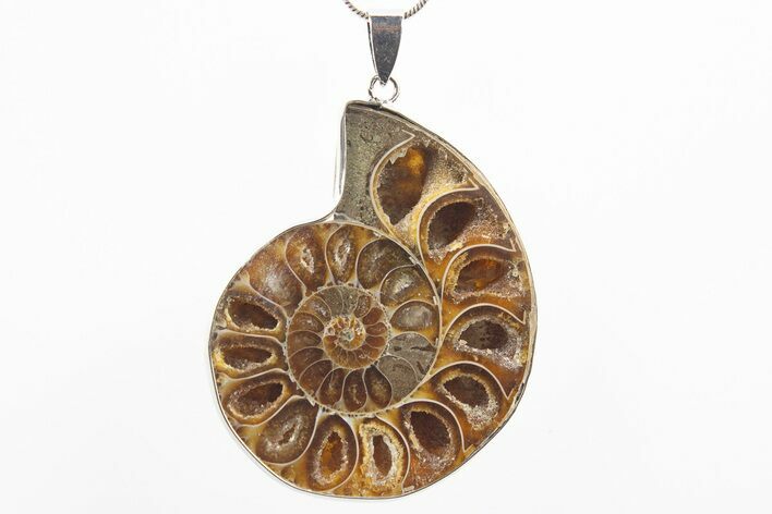 Fossil Ammonite Pendant - Million Years Old #306478